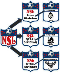 NSL-franchise.jpg