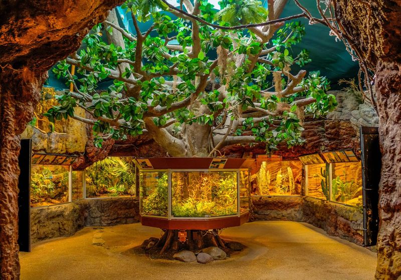 Datei:GreenhouseAquarium.jpg